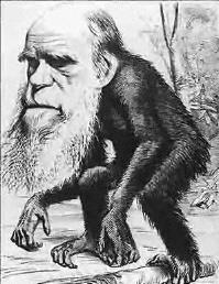 Darwin_ape2.jpg (16948 bytes)