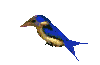 3D_bird.gif (4741 bytes)