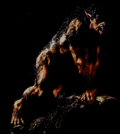 werewolf.gif (51236 bytes)