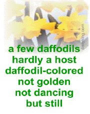 daffodils2004newgifsmall.gif (38639 bytes)