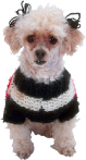 miniature poodle2.jpg (11227 bytes)
