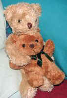 tn_IMG_1486teddyCROPPED.jpg (9120 bytes)