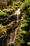 waterfall.gif (29374 bytes)