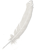 feather.jpg (2432937 bytes)